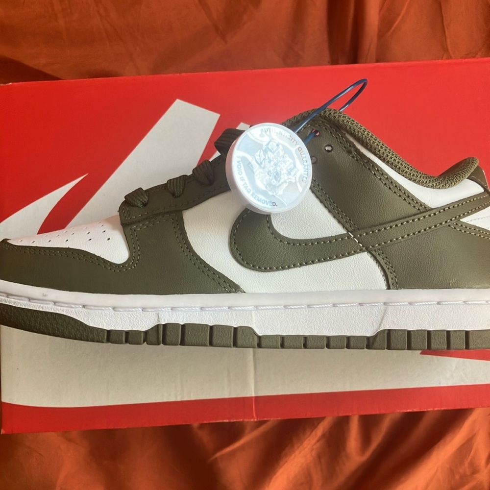 Women’s Nike Dunks